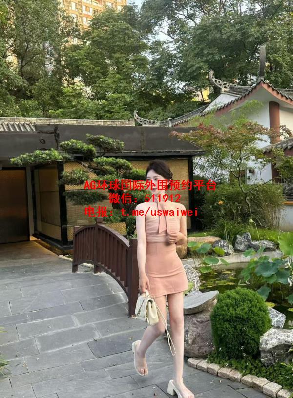 素里外围