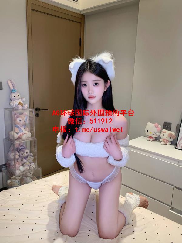 细致可爱小猫团子