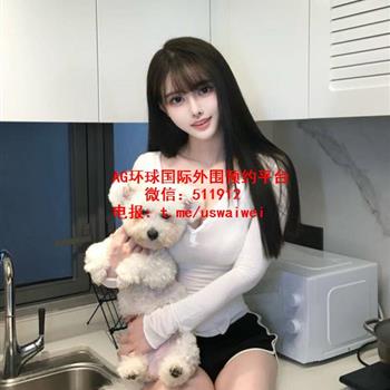 鹅蛋小脸美女予珊